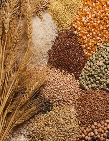 Tarımsal ürünler zirai torbalama