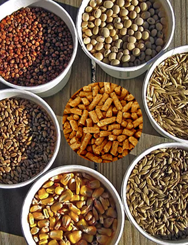 Hayvansal yem ürünleri torbalama